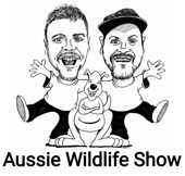 Aussie Wildlife Show - Aussie Wildlife Show