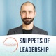 Snippets of Leadership