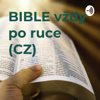 BIBLE vždy po ruce (CZ) - Biravsky