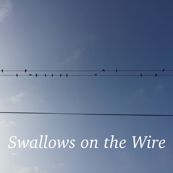 Swallows on the Wire Artwork
