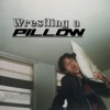 Wrestling a Pillow artwork