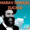 HaRav Shmuel Zucker artwork
