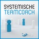 Systemische Teamcoach