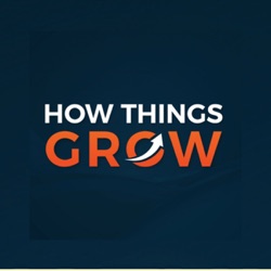 How Things Dont Grow; Reflections on Failing To Be a Billionaire - with Sahil Lavingia (CEO at Gumroad)