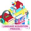 Language Acquisition Process  artwork