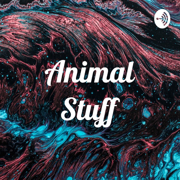 Animal Stuff Artwork