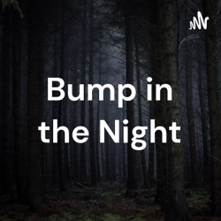 Bump in the Night