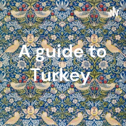 A guide to Turkey 