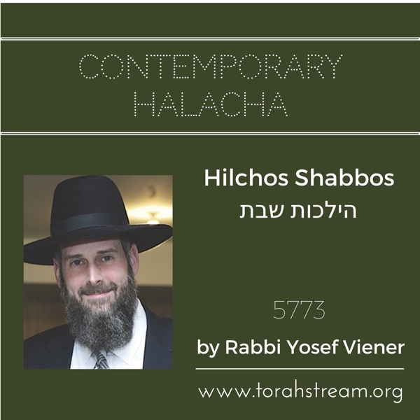 Hilchos Shabbos 5773 Artwork