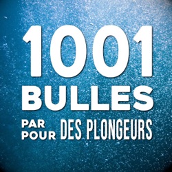 1001 BULLES