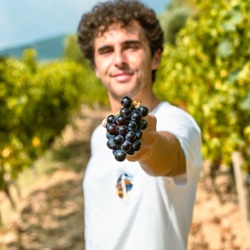 Il Mondo delle Anfore da Vino insieme a Francesco Tava 🏺🍷