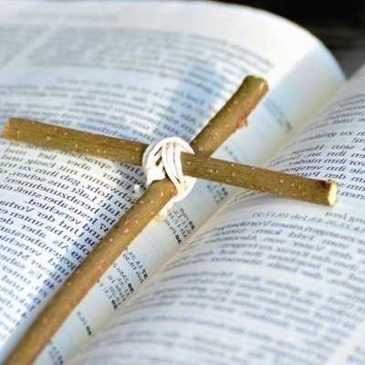 La Biblia en 365 dias La Biblia en 365 dias