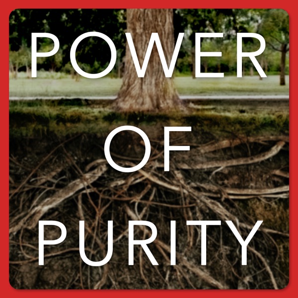 Power of Purity | Helping Men to Honor God with their Sexual Gift