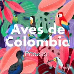 El contexto de las aves Colombianas.