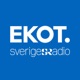 Dagens Eko: Nyheter, ekonomi, sport och kultur 2022-06-25 kl. 17.45
