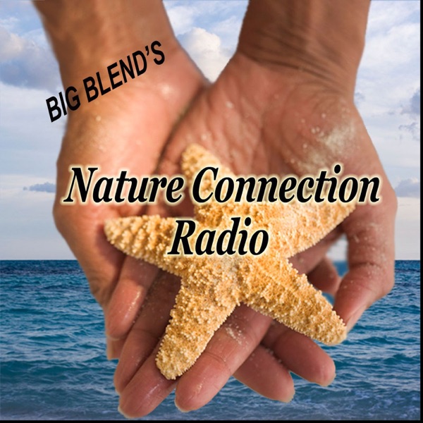 Nature Connection Radio Artwork