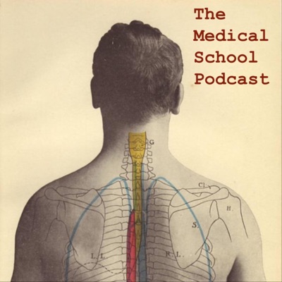 The Medical School Podcast The Medical School Podcast