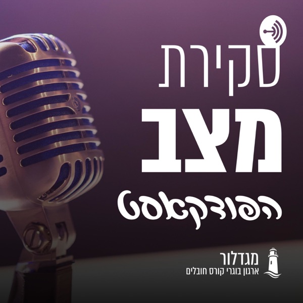 סקירת מצב