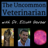 The Uncommon Veterinarian Podcast - Elliott Garber: Veterinarian, Public Health Expert, Animal Lover, and Author