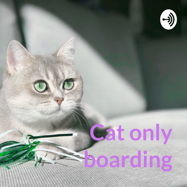 Cat only boarding - is it right for my ca Artwork