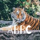 ABBC