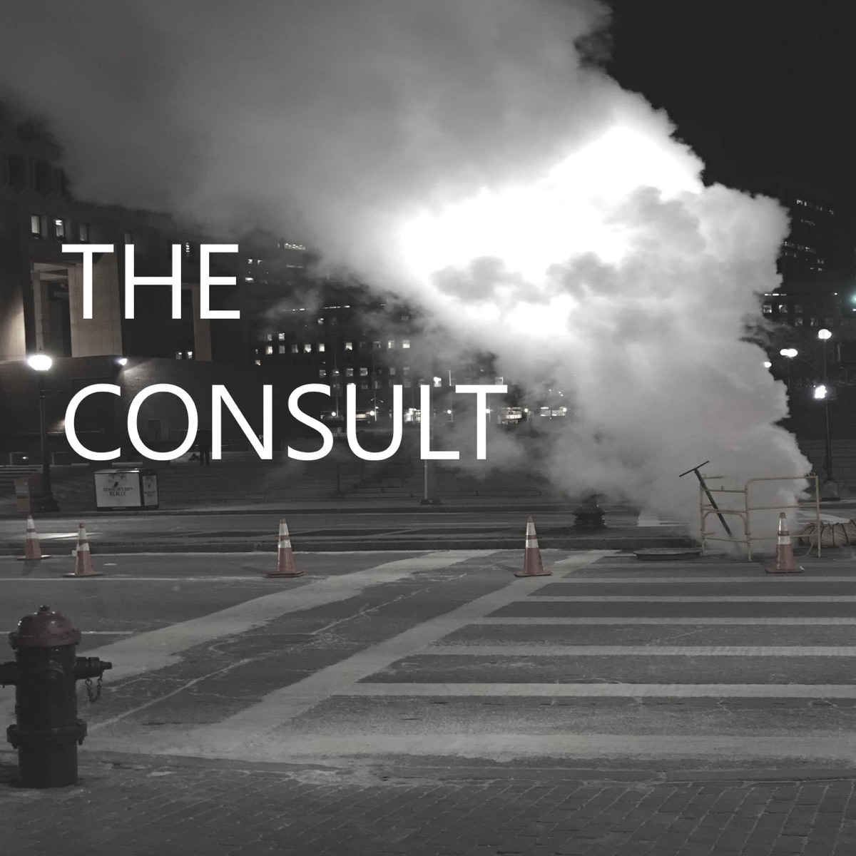THE CONSULT