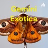 Gemini Exotica artwork