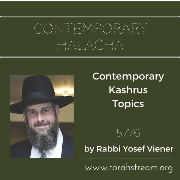 Contemporary Kashrus Topics 5776 Artwork