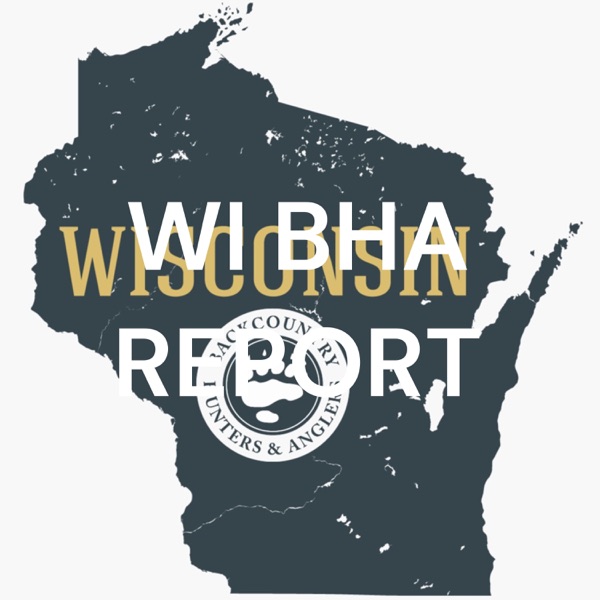 WI BHA REPORT Artwork