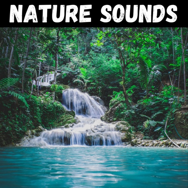 Nature Sounds for Sleep, Meditation, & Relaxation Artwork