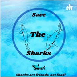 STS! Save The Sharks!