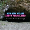 Now Here We Are Thirty Years Later artwork