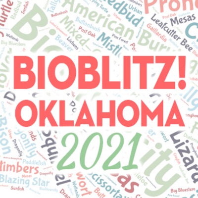 BioBlitz! Oklahoma BioBlitz! Oklahoma