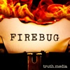 Firebug artwork