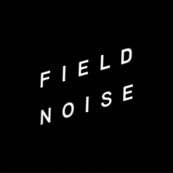 Field Noise Artwork