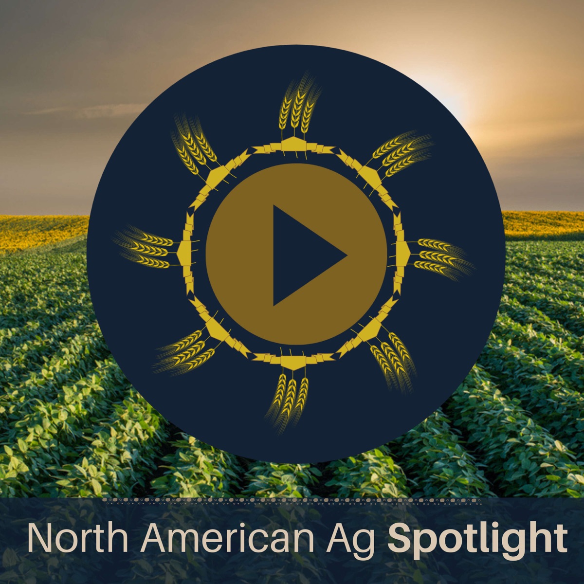 insight-into-farmland-values-a-comprehensive-recap-outlook-north