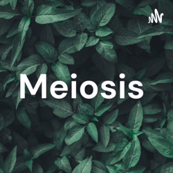 Meiosis 