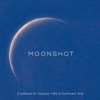 Moonshot artwork