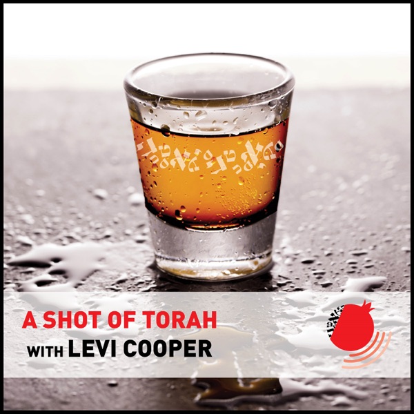 A Shot of Torah