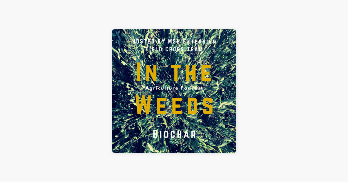 ‎Michigan Field Crops: In the Weeds: Biochar on Apple Podcasts