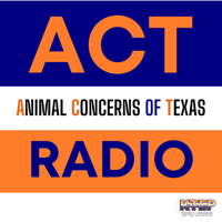 Dr. Jennifer Jacquet talks about commercial octopus farming 
