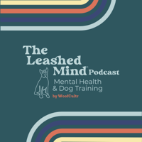 Embracing Authenticity w/Sarah Stremming