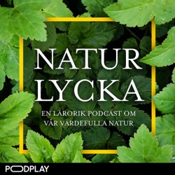 7. Från soptipp till naturparadis