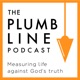 The Plumb Line