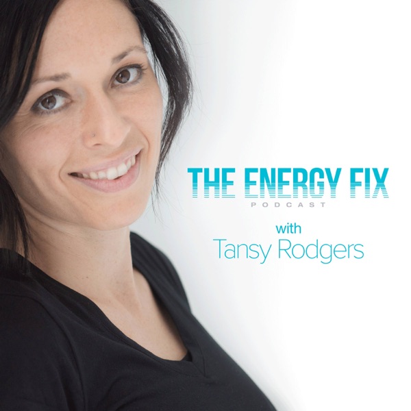 The Energy Fix Artwork