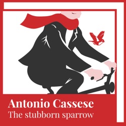 Episode 0: the Knight and the Sparrow