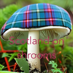 The Scottish Mushroom Podcast