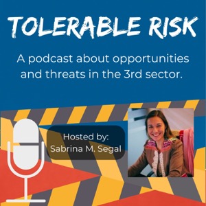 Tolerable Risk: Threats and Opportunities in the 3rd Sector