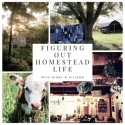 Figuring Out Homestead Life