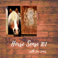 Horse Sense 101 Interview with Richard Jordan